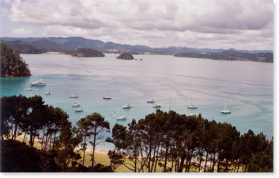 The Stone Store in Kerikeri